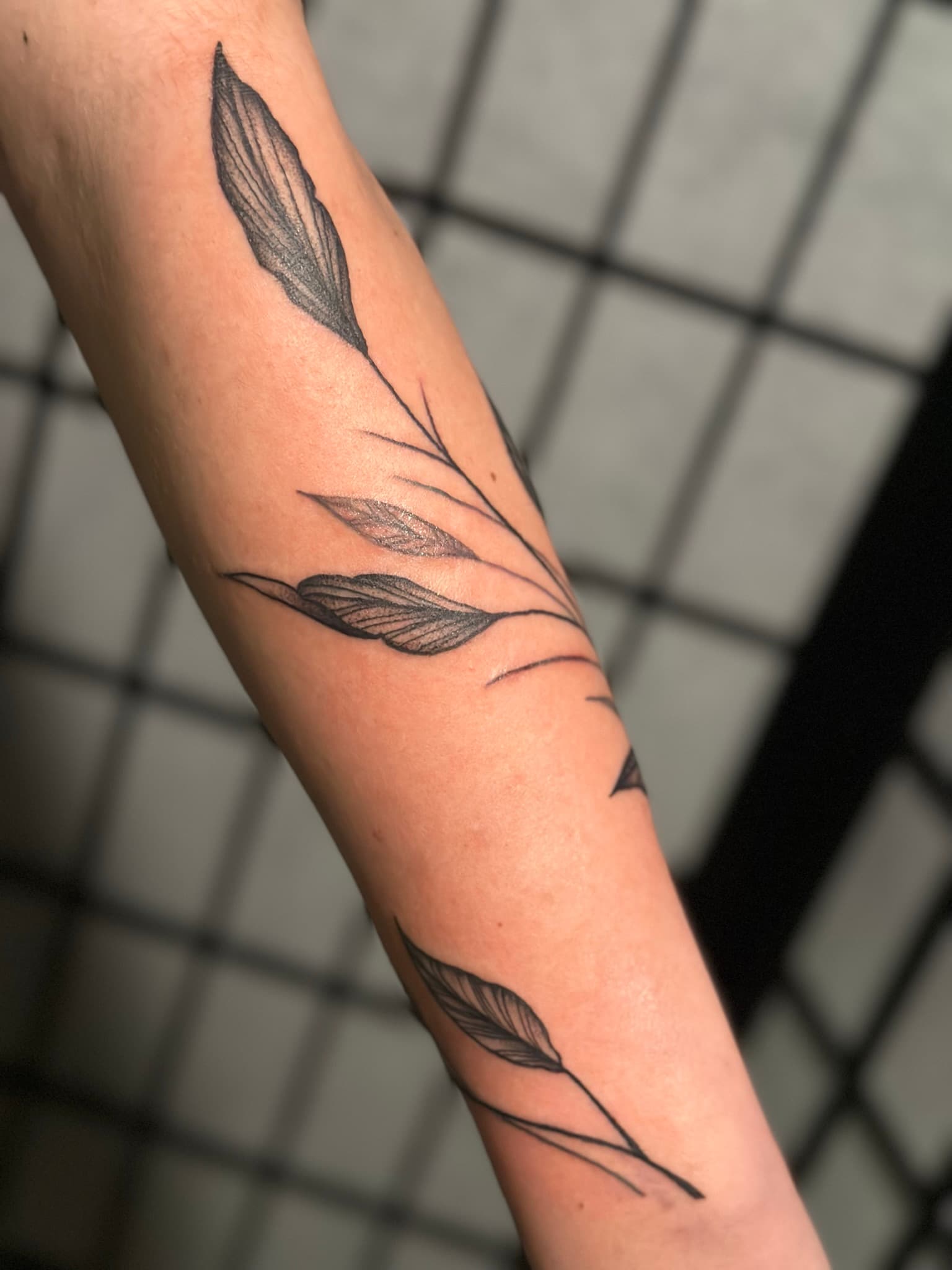 Fine line branch wrapping the arm tattoo by Isaac Mackenzie