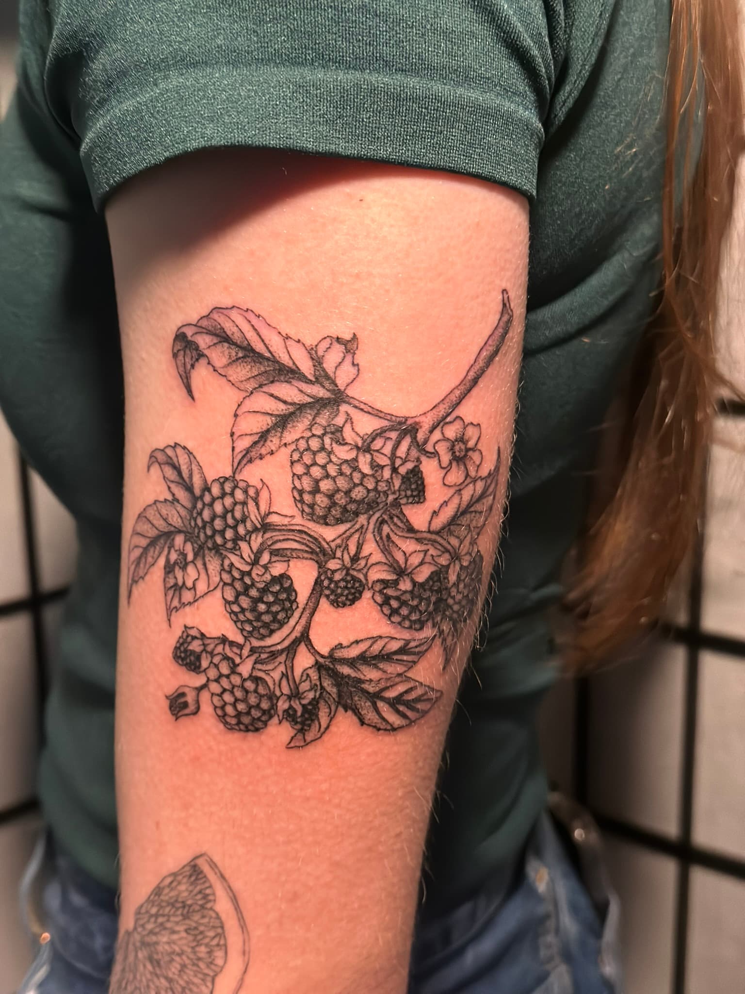Fine line blackberries tattoo by Isaac Mackenzie at TNT Tattoo, Aiea, Oahu