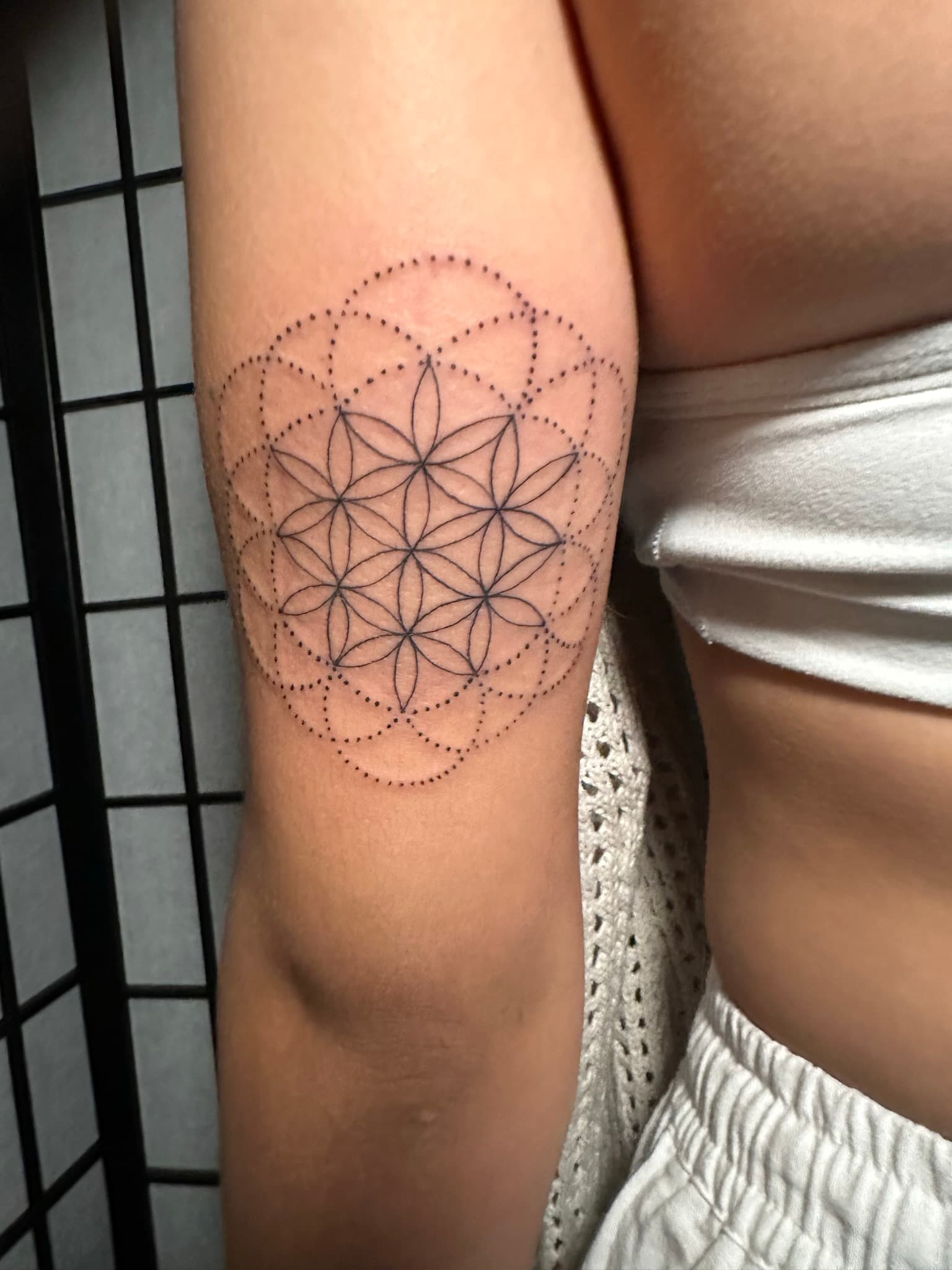 Fine line flower of life sacred geometry tattoo by Isaac Mackenzie