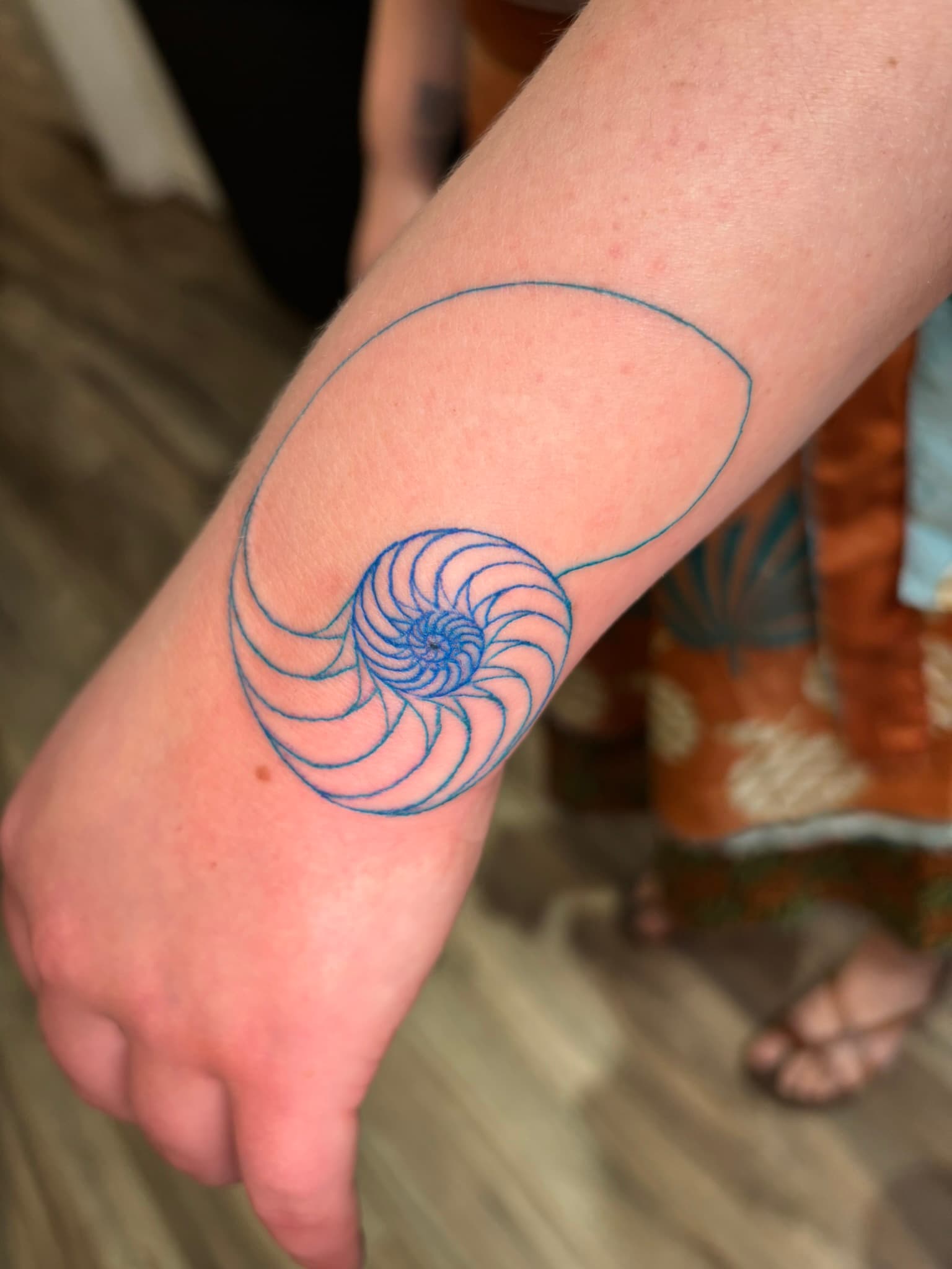 Fine line seashell Fibonacci tattoo by Isaac Mackenzie, Hawaii
