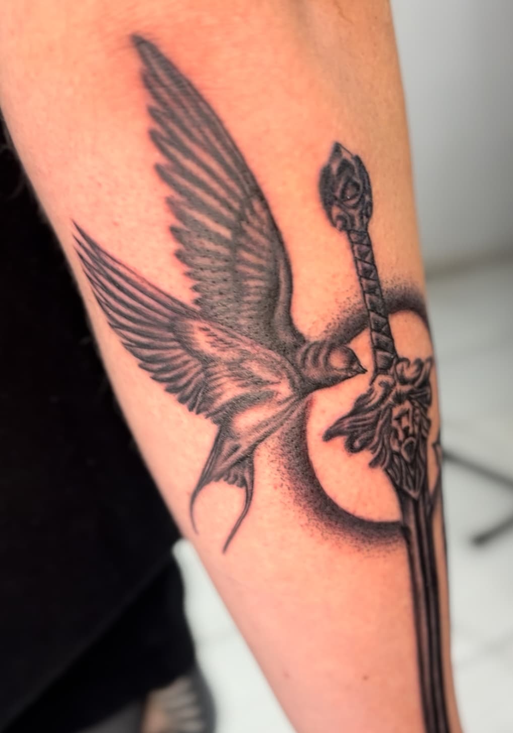 Fine line sparrow and sword tattoo, close-up, by Isaac Mackenzie