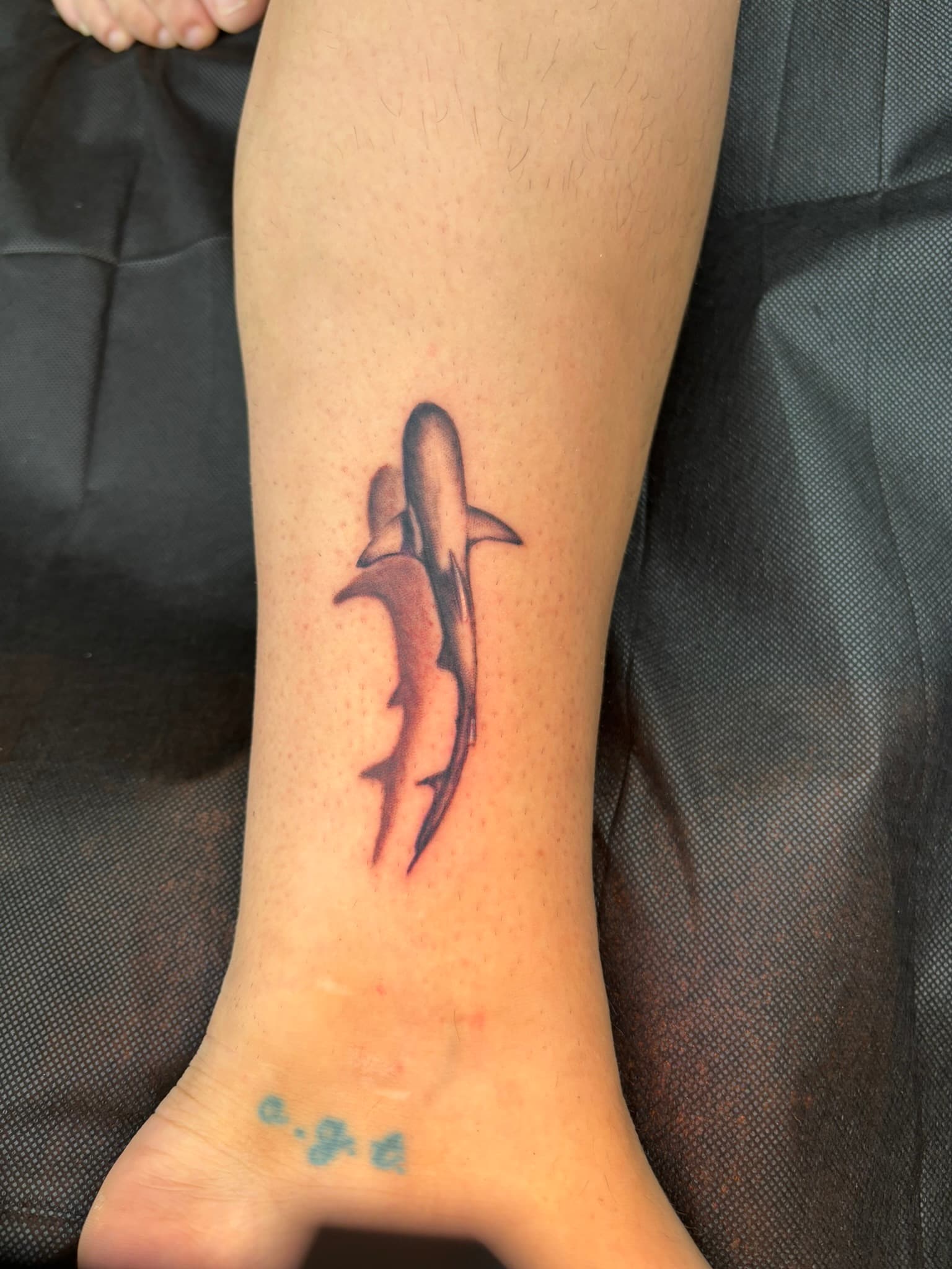 Illustrative aerial shark tattoo by Isaac Mackenzie, Oahu