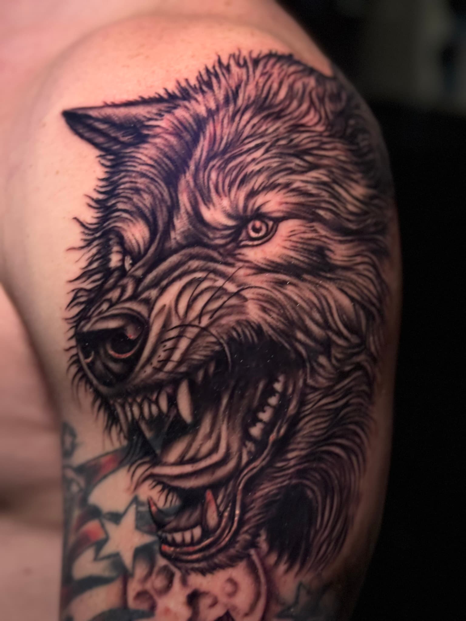 Black and grey snarling wolf realism tattoo by Isaac Mackenzie, Oahu