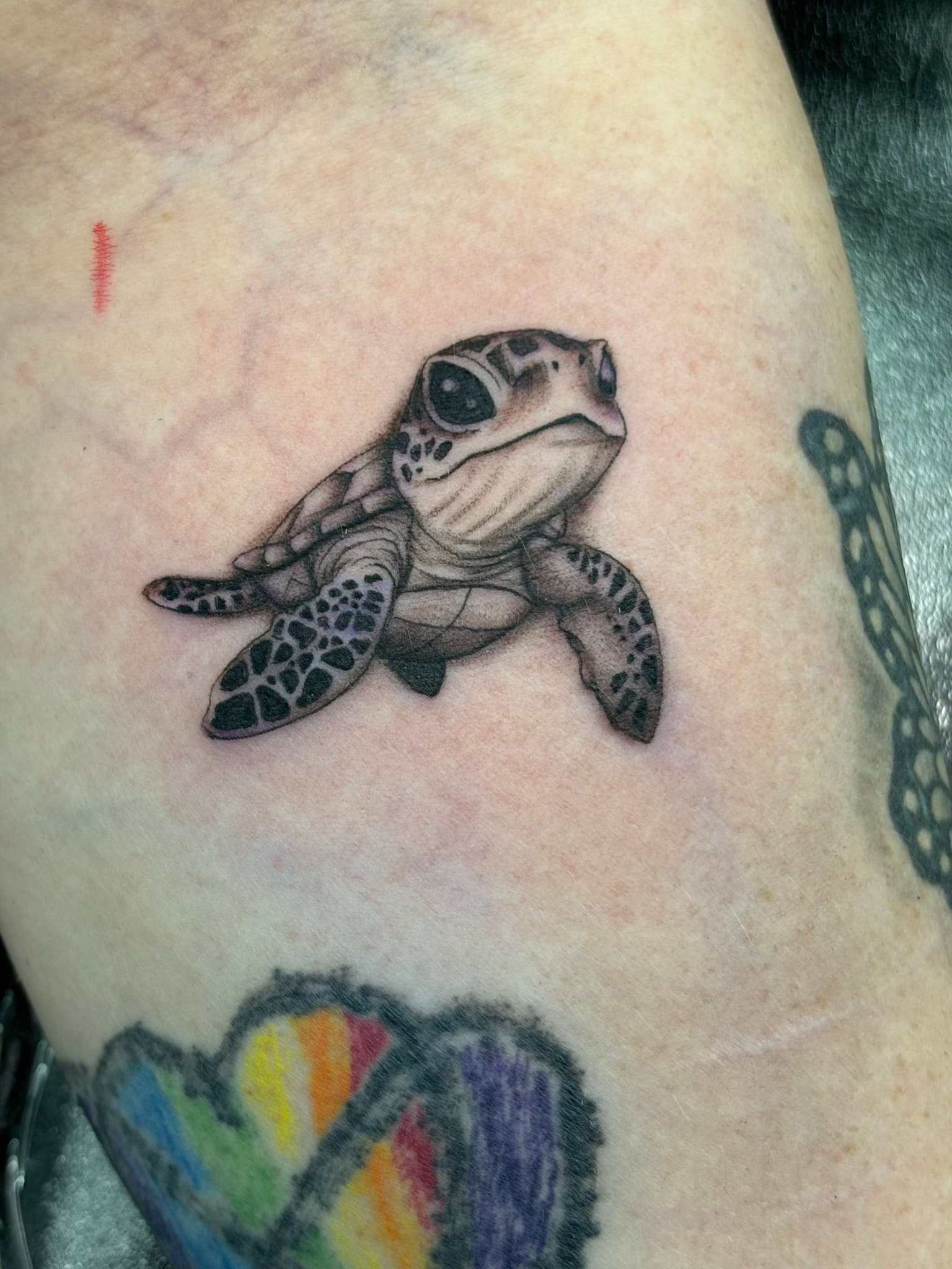 Realism baby sea turtle tattoo by Isaac Mackenzie, Hawaii