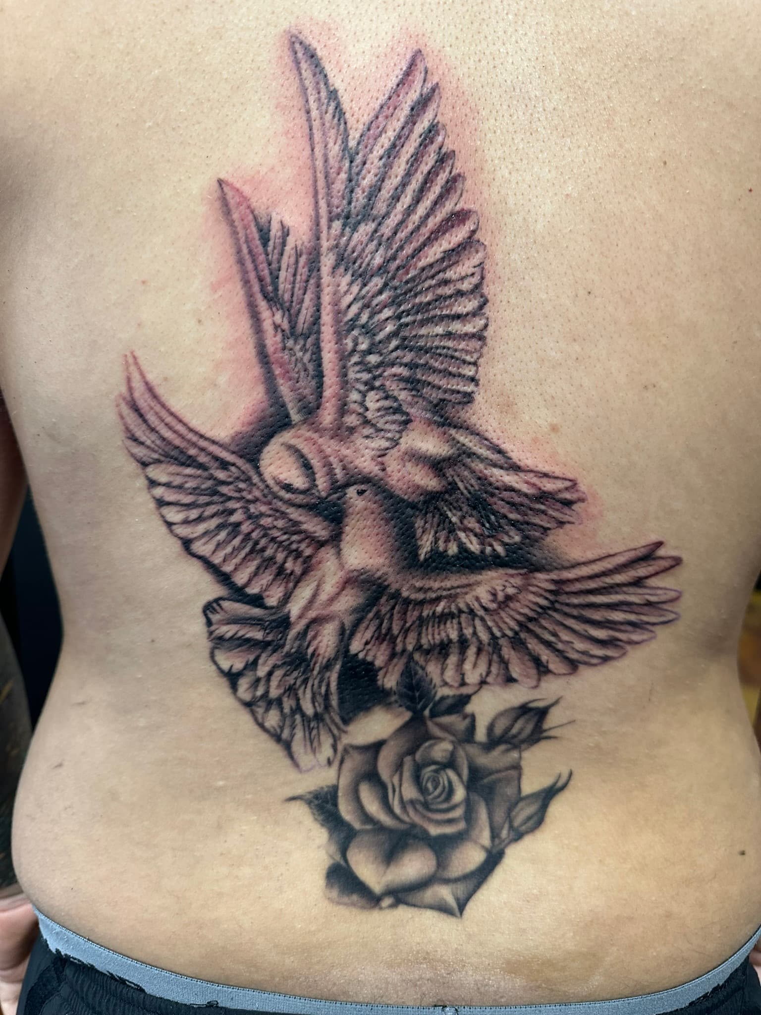 Realism doves back piece tattoo, Oahu Hawaii