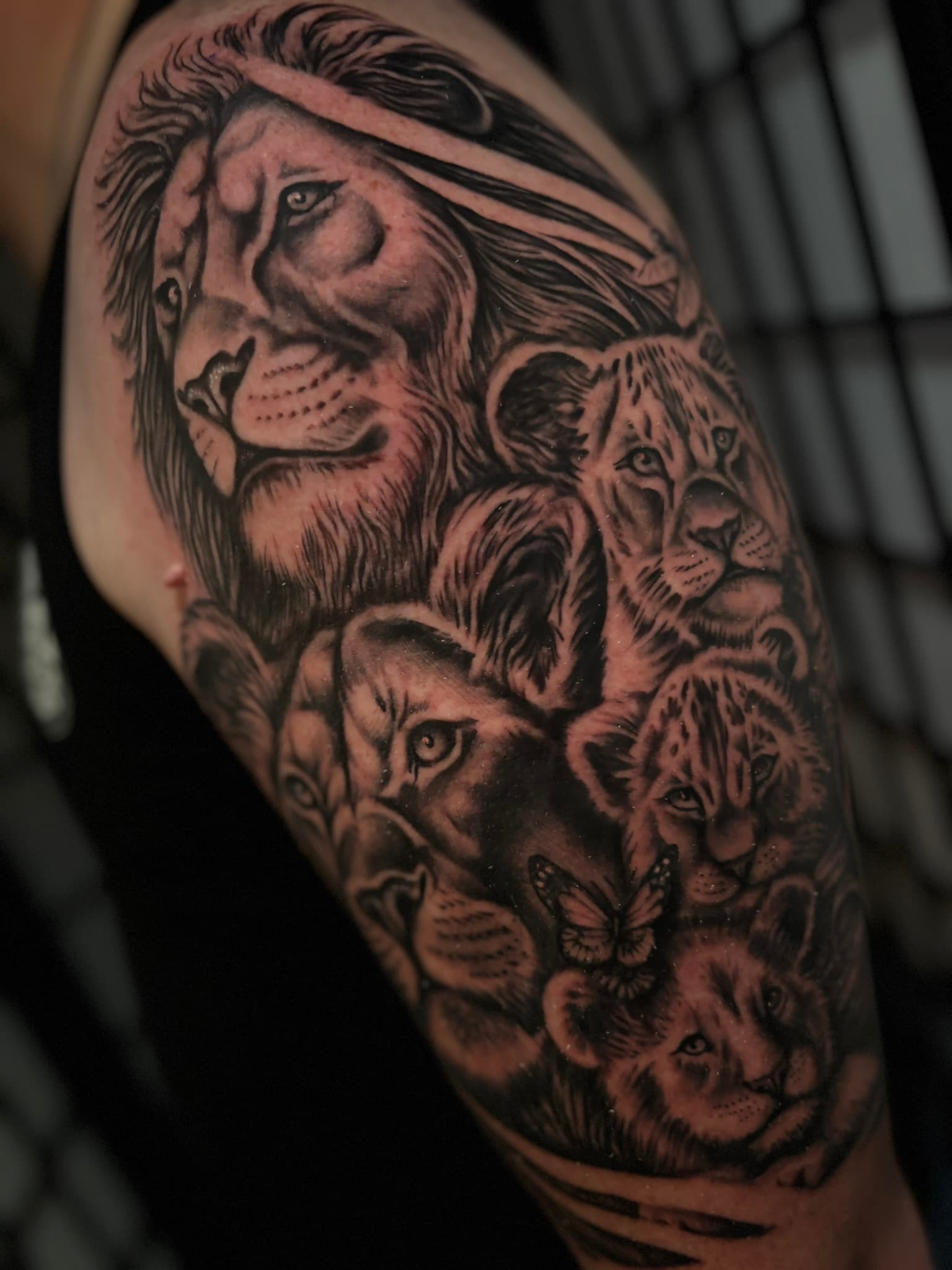 Black and grey realism lion tattoo, Oahu