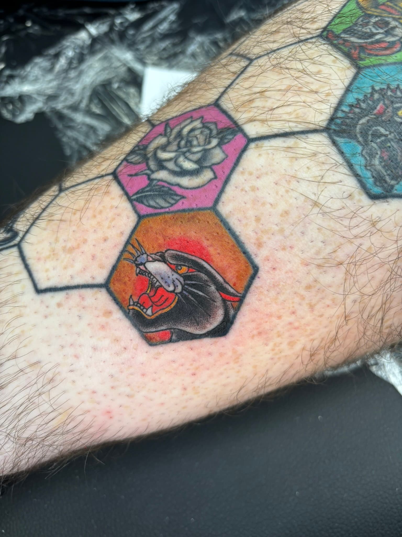 American traditional panther head in hexagon tattoo by Isaac Mackenzie