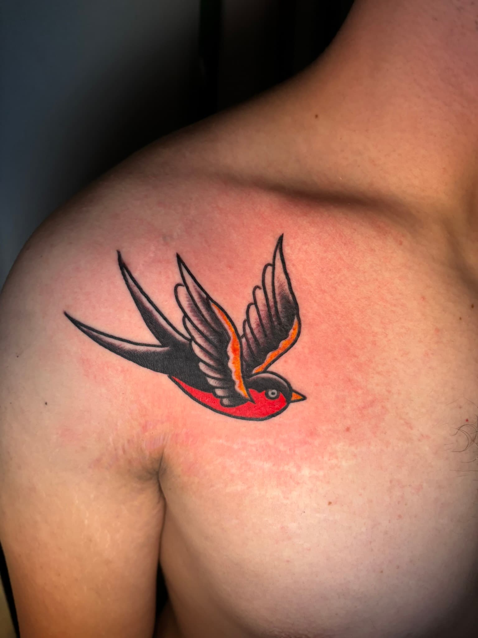American traditional swallow tattoo by Isaac Mackenzie, Oahu