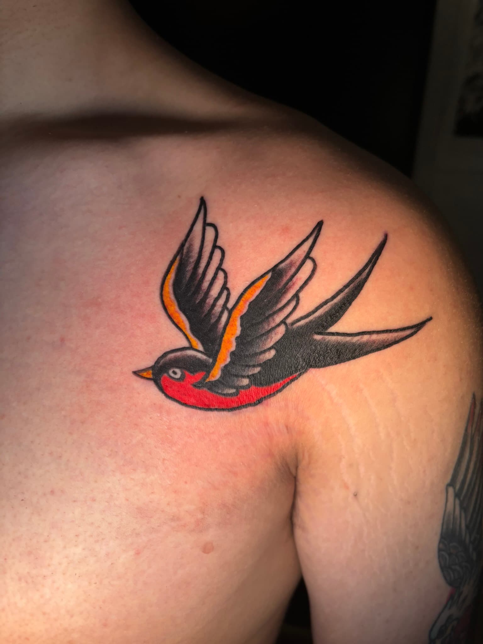 American traditional swallows tattoo by Isaac Mackenzie, Hawaii