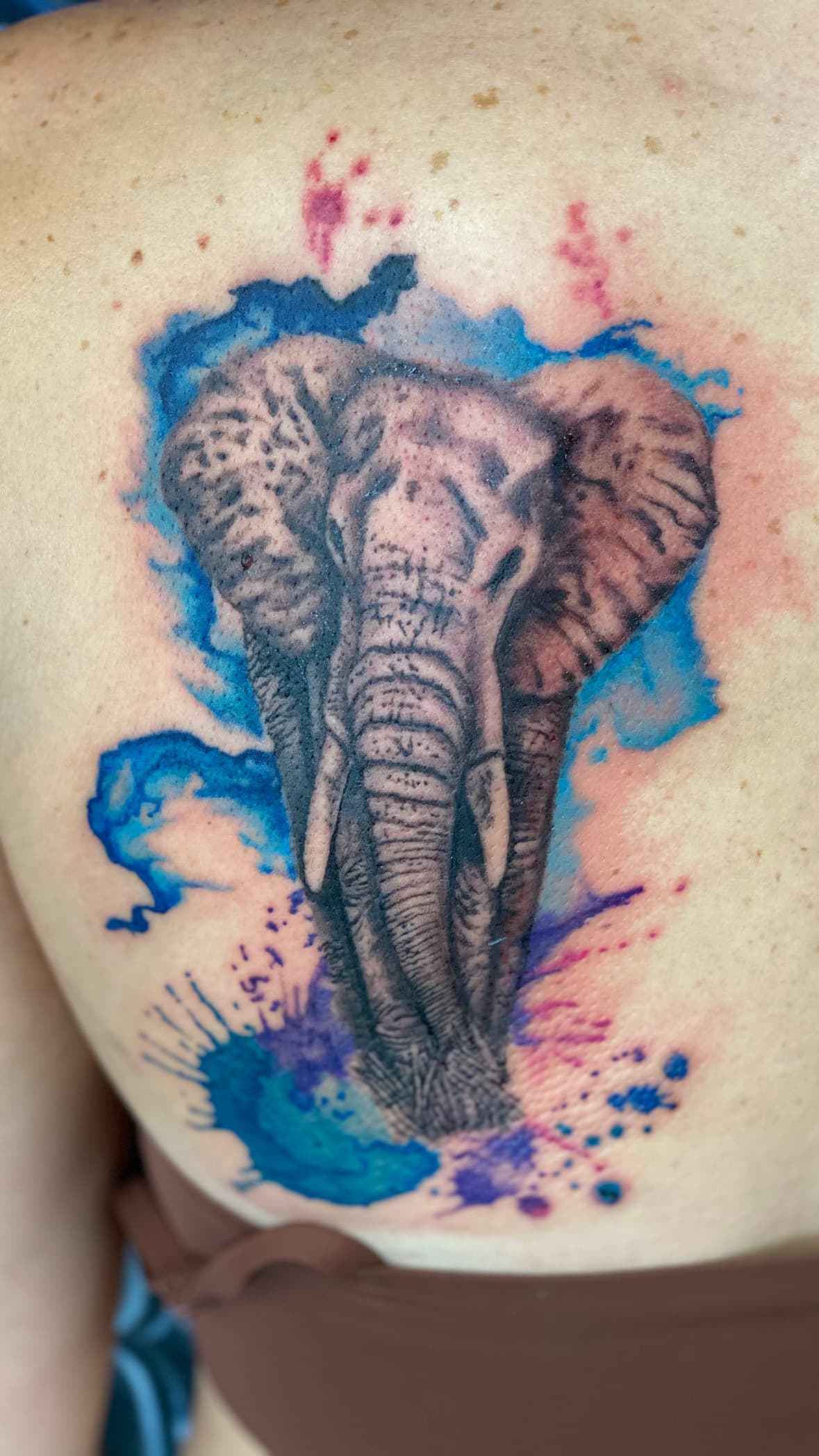 Watercolor realistic elephant tattoo by Isaac Mackenzie